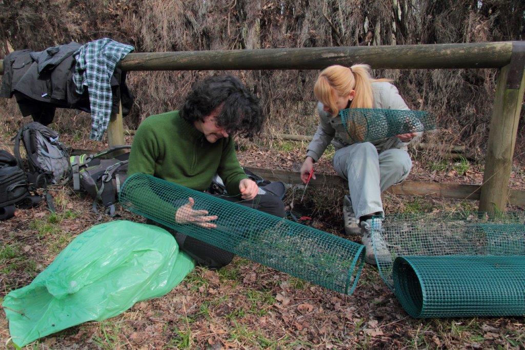 VOLONTANFIBI 2014: Parco Regionale MSRM